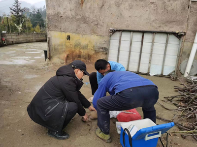 清镇市麦格乡 扎实做好春季动物防疫工作 强化家禽养殖技术培训